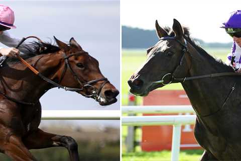 Classic hopefuls High Definition and Noon Star headline star-studded Dante Festival at York races