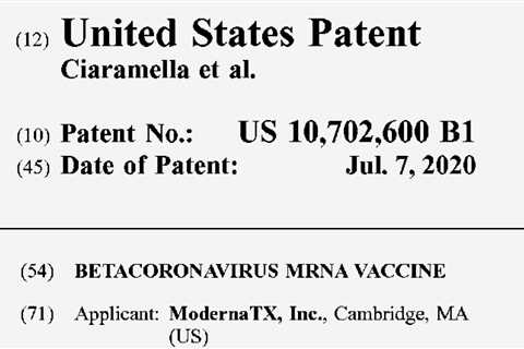 The U.S. Confronts a Virus ‘That Doesn’t Understand Borders’