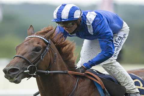 Racing tragedy as top sprinter Molatham suffers shock heart attack and dies after race at York’s..