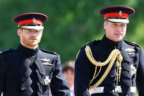 The Crown creator doesn’t want to bring more pain on Prince William and Harry as they have ‘been..