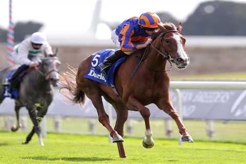 Aidan O’Brien star Love set to kick off campaign on home turf next weekend as trainer eyes big..