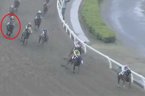 Giant £82,000 horse racing bet placed at last minute ends horribly for punter