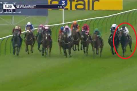 Jockey Martin Dwyer banned moments after landing 14-1 winner in incident-packed Newmarket race