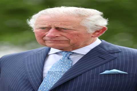 Prince Charles was ‘knocked to the ground with several punches’ after Prince Harry’s ‘seismic’..