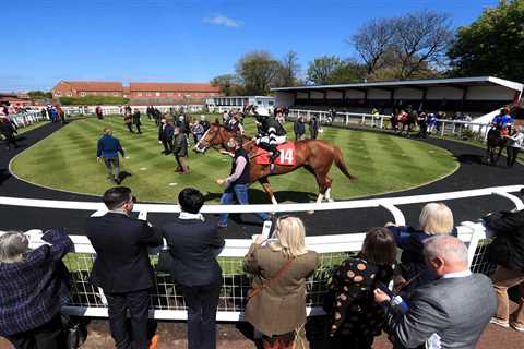 PICTURED: Punters flock back to the race track in thousands again as lockdown restrictions ease..