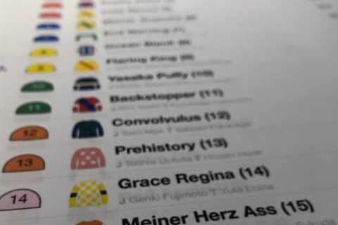 Horse racing commentator jokes owners of runner with very rude name are ‘just trolling me at this..