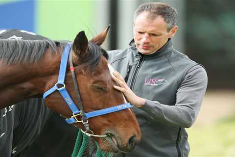 Trainer at centre of mega-money gambles slams ’embarrassing’ betting ploy after all four of his..