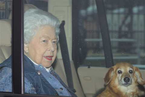 Queen searches for new puppy after tragic death of dog Fergus given to her when Prince Philip fell..