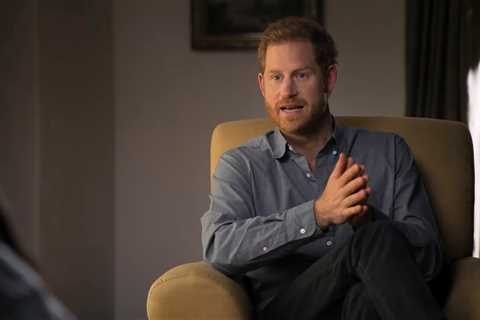 ‘Take Prince Harry back’, US journalist begs Britain to reclaim royal after he ‘threw grenade’