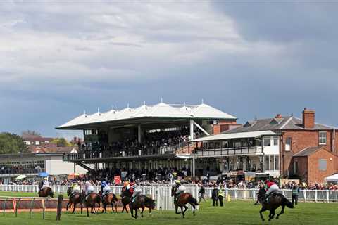 Freak horse Danilo D’Airy strikes again for punters after outsmarting handicapper despite giant..