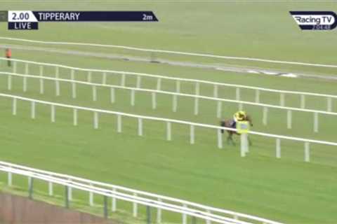 Willie Mullins’ horse thrashes rivals by such a massive distance the camera can’t even fit them..