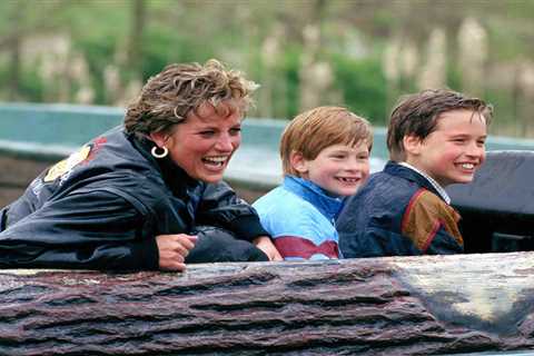 Prince Harry and William put differences aside to help prove Princess Diana’s letters were real in..
