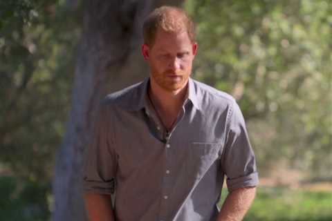 Queen and Prince Charles ‘dismayed’ by Harry claims and will be ‘tearing out their hair’, say..