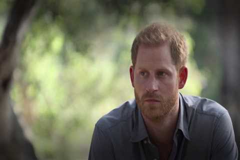 ‘Worried’ Prince Harry was ‘afraid’ to return for Philip’s funeral but ‘used coping skills from..