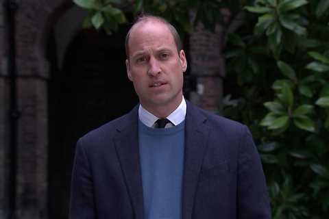 Prince William ‘personally penned’ his BBC criticism over Princess Diana’s interview and wants..