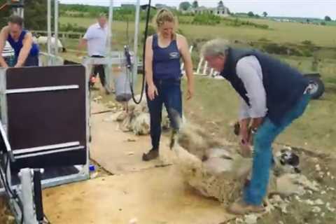Jeremy Clarkson shouts in pain as he’s kicked by a sheep in brutal first trailer for his new Amazon ..