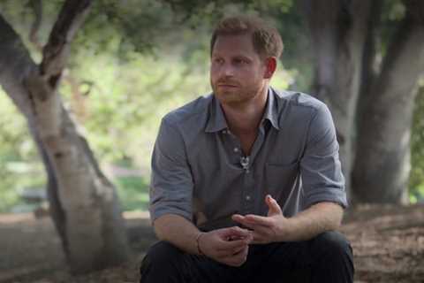 What is Prince Harry’s EMDR therapy and how does the treatment work?