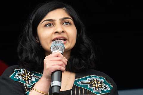 Labour MP claimed more than £700 in expenses for flash kit to use on social media