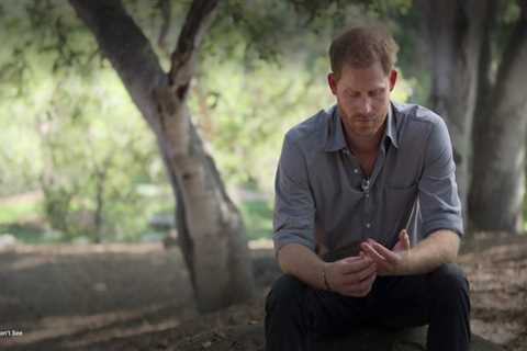 Prince Harry ‘angry’ at British public for mourning Diana saying ‘you never even met her’
