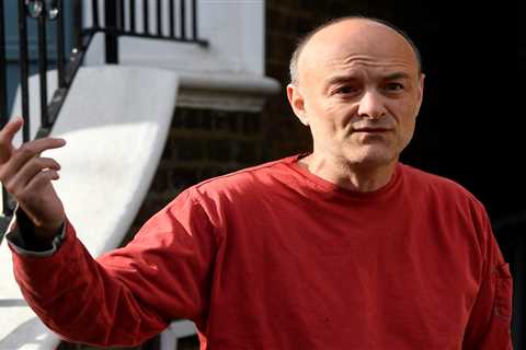 Dominic Cummings blasts ministers for ‘bodging’ Covid plan after not ‘understanding’ chilling..