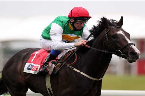 Pyledriver in ‘fantastic’ shape and as short as 7-1 for red-hot Coronation Cup at next week’s Derby ..