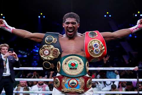 Anthony Joshua set to be offered expert southpaw sparring by Luis Ortiz to prepare for Oleksandr..