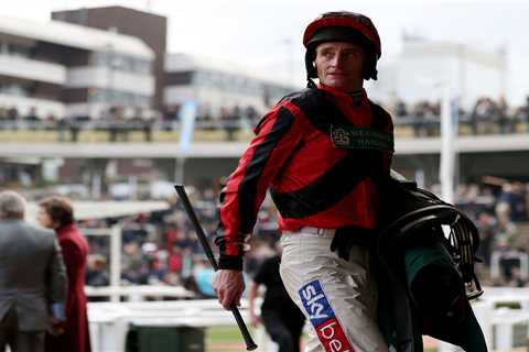 Heartbroken jockey Daryl Jacob says death of fan favourite racehorse Top Notch was like ‘losing a..