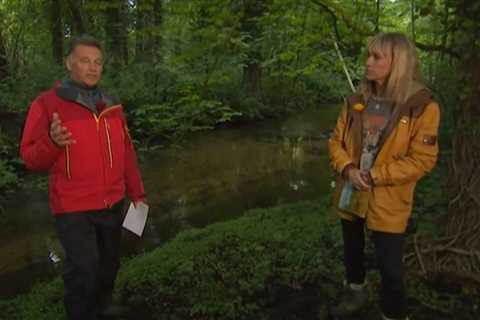 Springwatch’s Chris Packham panics as he spots something VERY wrong with nest of swallows