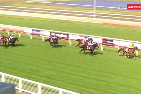 Racing punters fooled completely as fake text dupes them into backing horse who proves a total..
