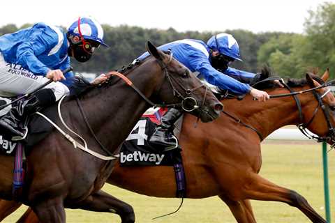 Royal Ascot day two racecard: Runners, odds, tips and TV schedule for Prince of Wales’ Stakes day