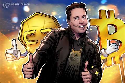 After market-wide meltdown, Elon Musk voices tepid support for crypto 
