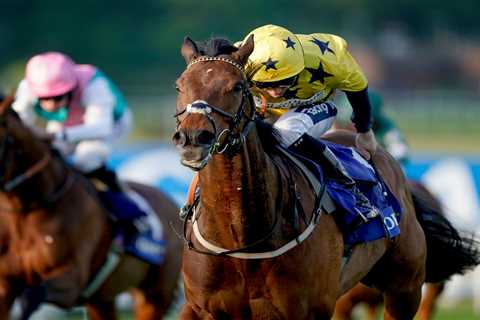 Huge 900-mile round trip pays off for Euchen Glen in huge 20-1 Brigadier Gerard Stakes upset at..