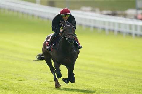 Trainer George Boughey set to supplement star filly Mystery Angel for Oaks at Epsom after talks..