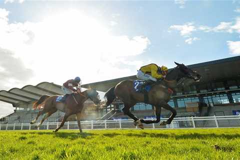 Bookies sweating as gigantic Fairyhouse gamble sees 66-1 outsider backed into 11-2 despite not..