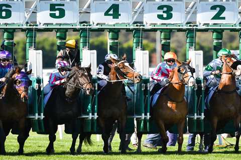 Five racehorses die in horror crash after truck carrying thoroughbreds worth £500,000 smashes into..