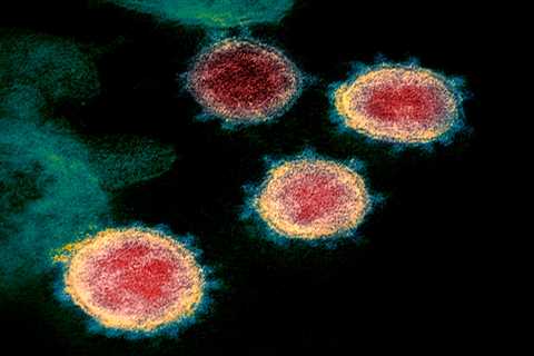 Vietnam detects hybrid of Indian and UK Covid variants as fears grow new strains will delay..