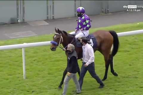 Jockey wins on first ride for FOUR years after taking break for mental health reasons
