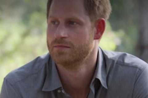 Prince William ‘concerned’ Prince Harry ‘may go too far with his truth bombs’