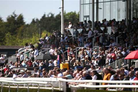 Jockeys strongly abused by punters at Fontwell who were then booted off the course by officials