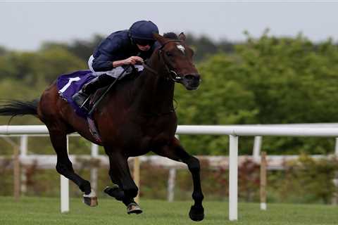 Stats reveal how to pick the Epsom Derby winner – and which horses to avoid – in £1.125million race
