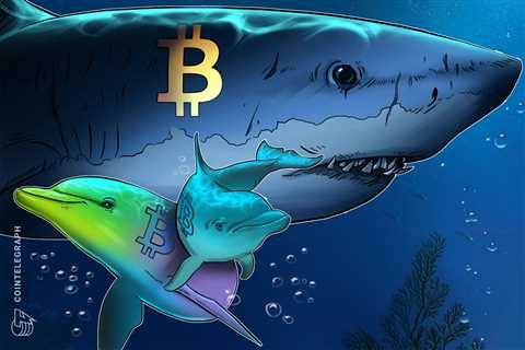 Bitcoin accumulation uptrend can create a 2013-style BTC price ‘double pump’ 