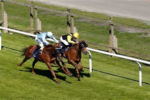 Dramatic dead-heat photo finish at Brighton as judges can’t split joint-winners to leave punters..
