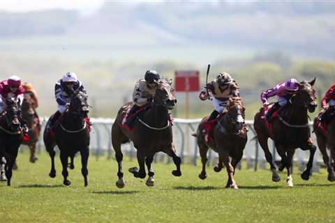 The secret behind ‘thick’ racehorse who stunned punters with incredible 200-1 win but trainer..