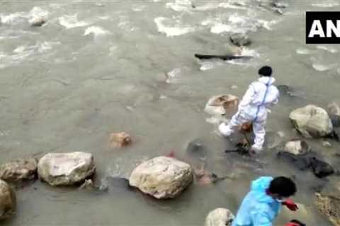 Stray dogs ‘eat’ burned bodies of Covid victims washed up on banks of Indian river as country..