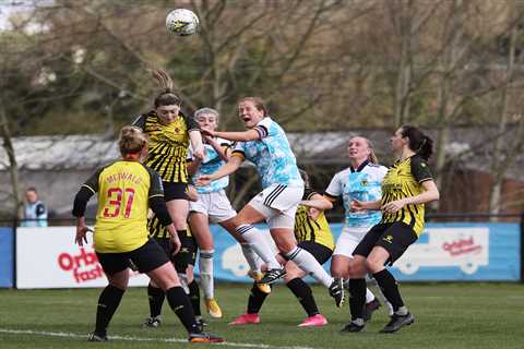 Troy Deeney hails Watford Women after club wins bid to play in game’s second tier