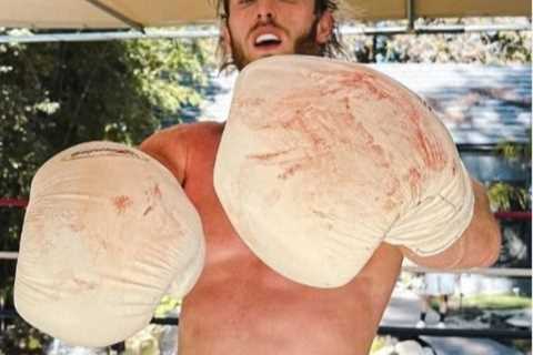 Logan Paul ‘beating up legitimate undefeated boxers’ in sparring and says ring is ‘covered in..