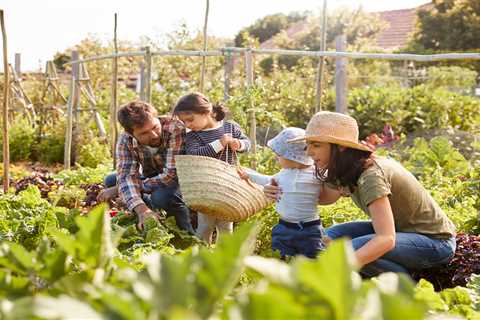 Brits should grow fruit &amp; veg in war effort-style bid to tackle climate change