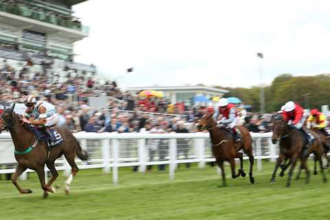 Veteran sprinter Caspian Prince chasing FOURTH win in Epsom Dash – seven years after his first and..