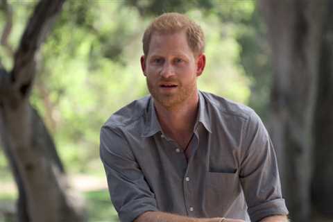 Prince Harry branded ‘selfish &amp; immature’ for resenting outpouring of grief after Princess Di’s ..