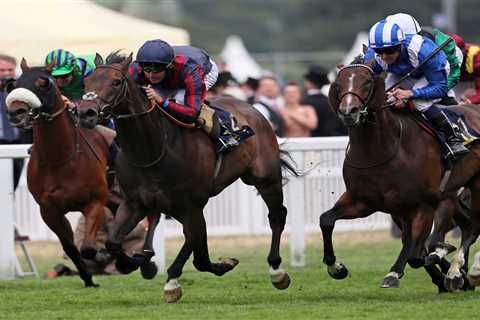 Multiple Group 1 winning sprinter The Tin Man retired from racing after undergoing surgery